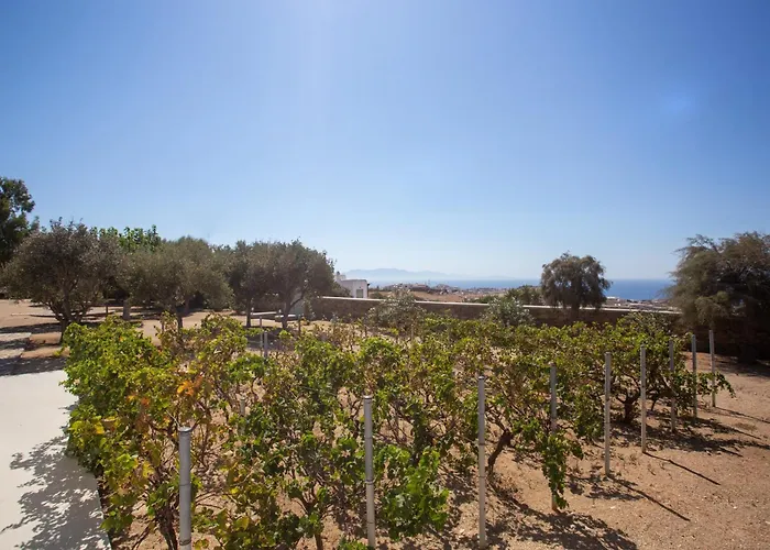 別荘 Ker Scorpios By Bestofmikonos 6 Bed *